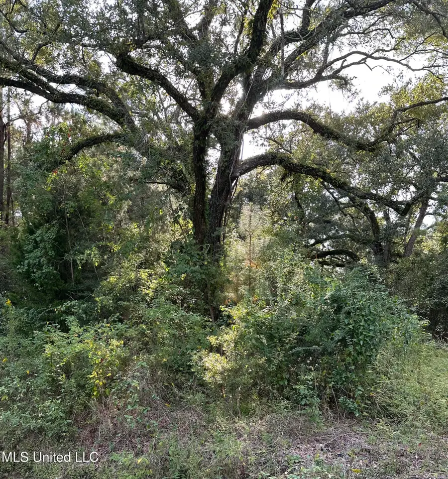 6611 Omaha Street, Biloxi, MS 39532 - Image #2