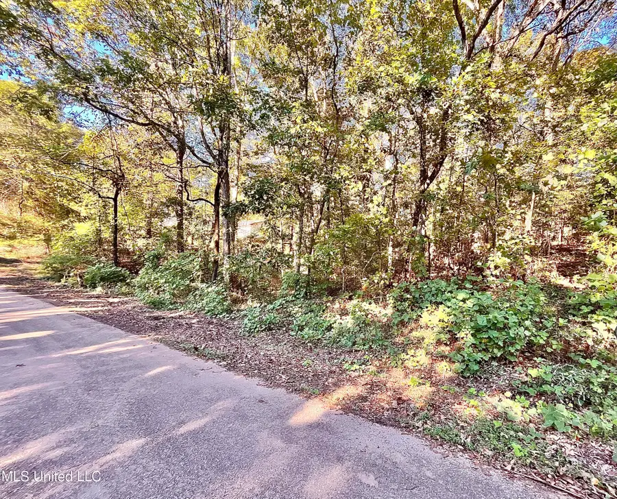 0 Snow Lake Drive, Ashland, MS 38603 - Image #2