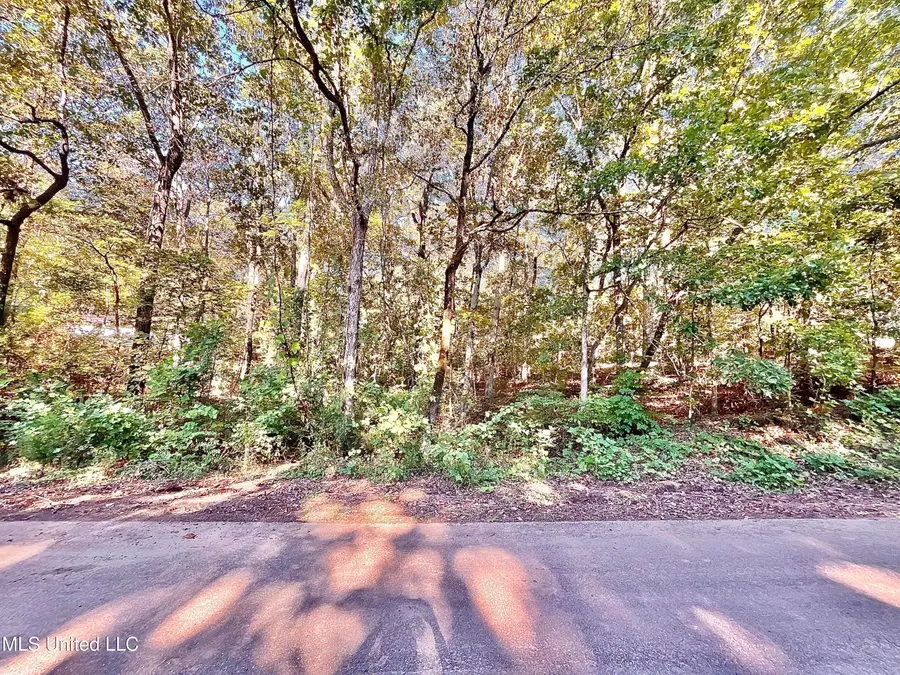 0 Snow Lake Drive, Ashland, MS 38603 - Image #3