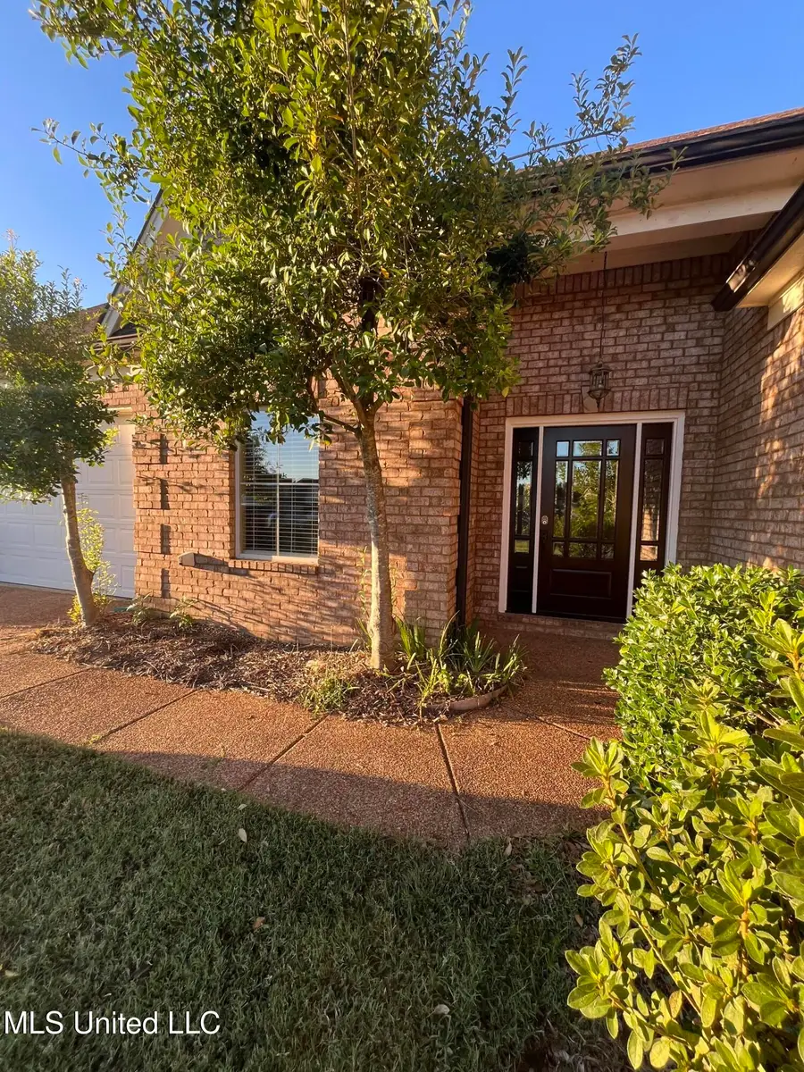 909 Falcon Street, Senatobia, MS 38668 - Image #3