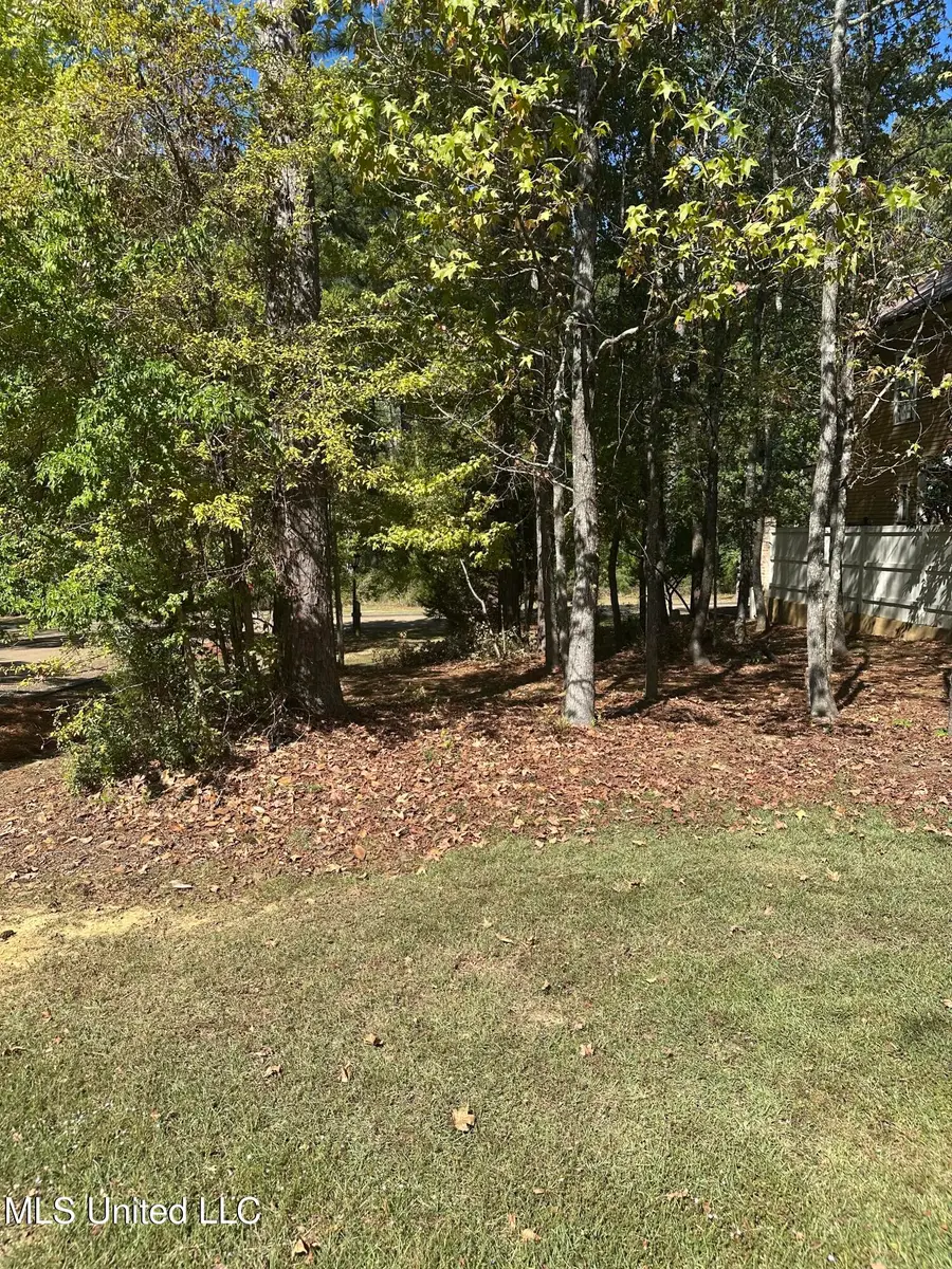 143 Louis Lefleur Boulevard, Madison, MS 39110 - Image #3