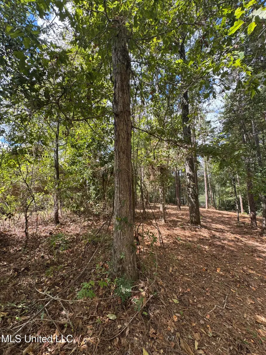 Baracuda Drive, Hattiesburg, MS 39402 - Image #3