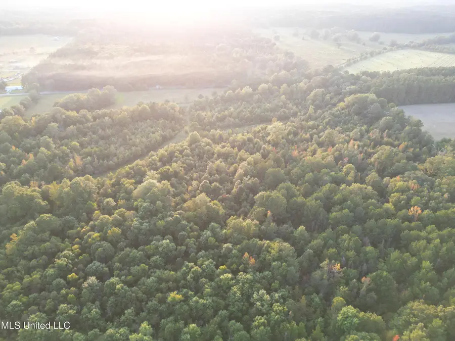 1844 Swamp Road, Carthage, MS 39051 - #2