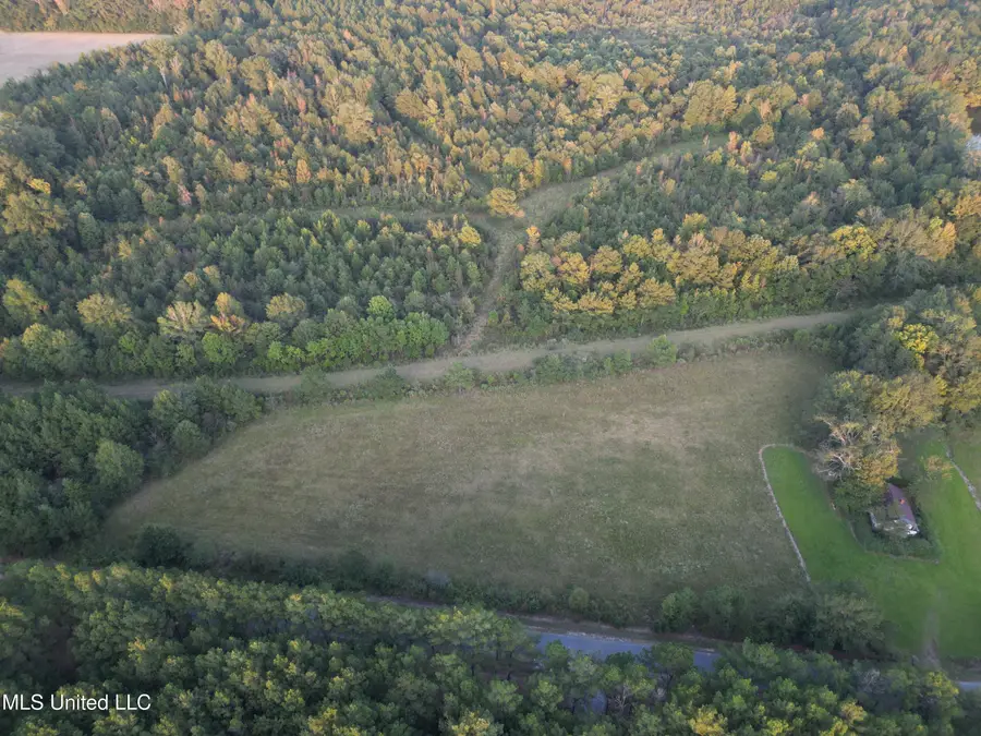 1844 Swamp Road, Carthage, MS 39051 - #3