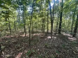 11402 Sequoyah Drive, Hernando, MS 38632 - Image #1