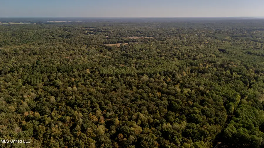 Padgett Drive, Charleston, MS 38921 - Image #2