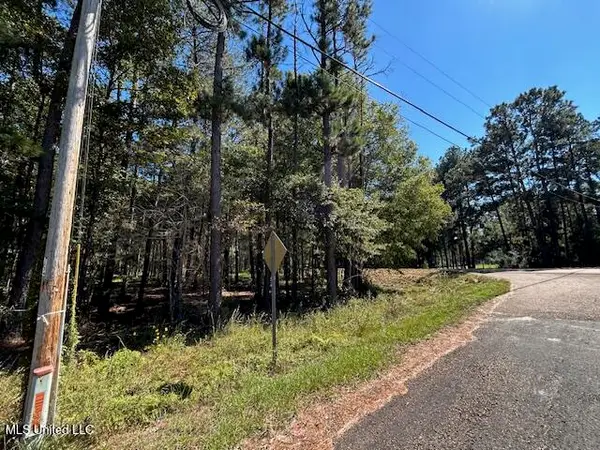 Country Lake Rd, Summit, MS 39666