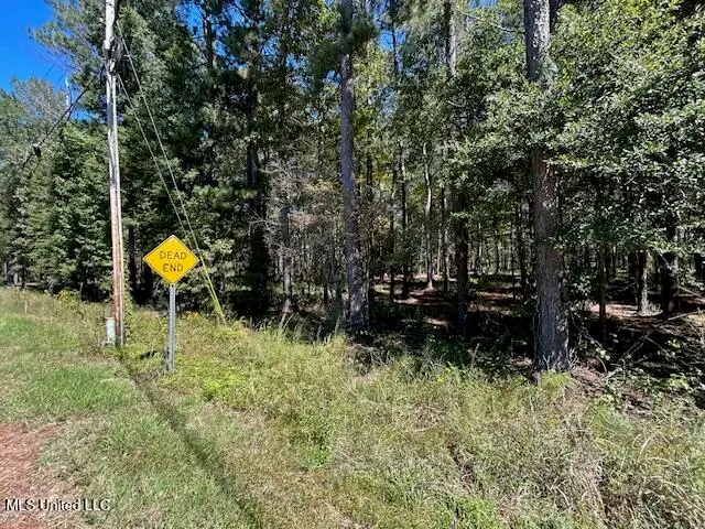 Country Lake Rd, Summit, MS 39666 - Image #3