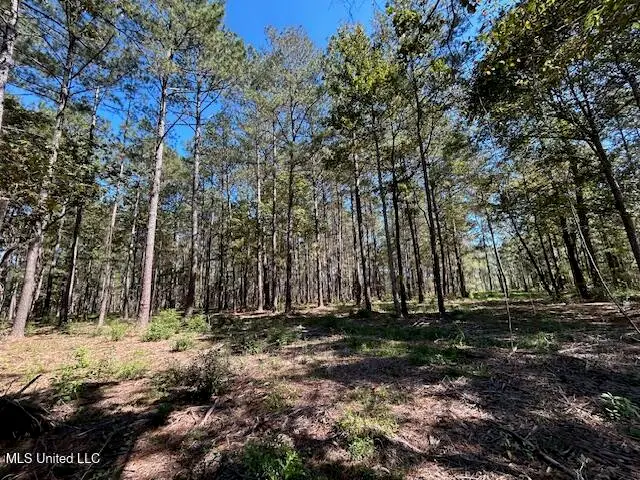 Country Lake Dr, Summit, MS 39666 - Image #3