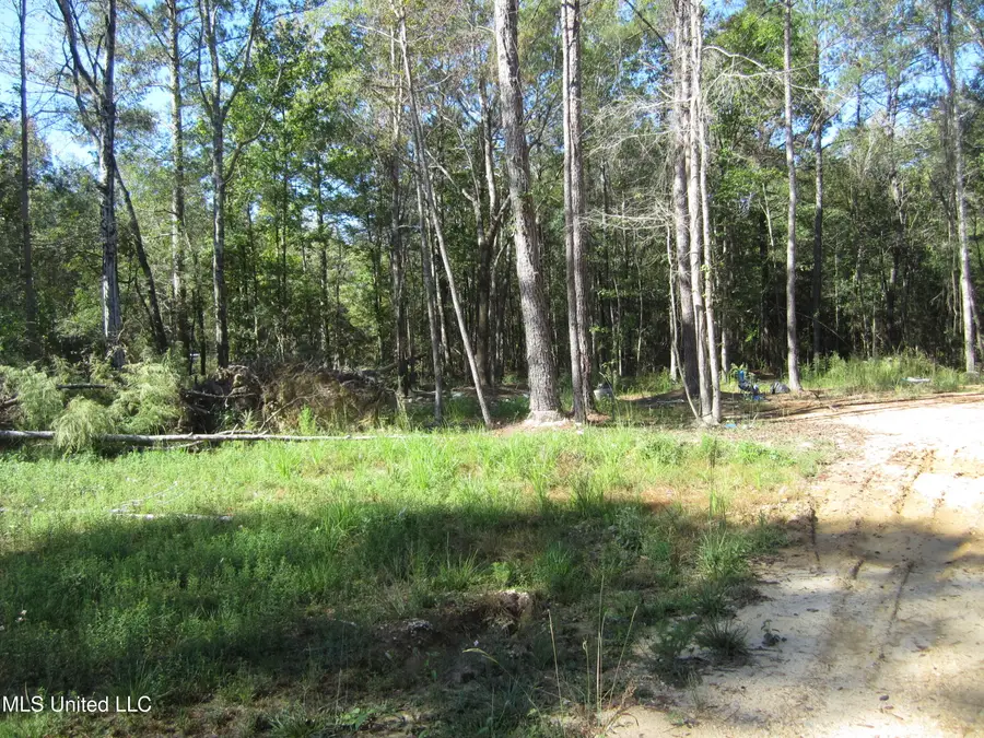 Hwy 43, Oak Vale, MS 39656 - Image #3