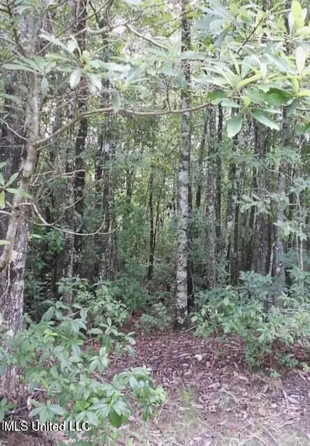 19144 Cemetery Road, Saucier, MS 39574 - Image #3