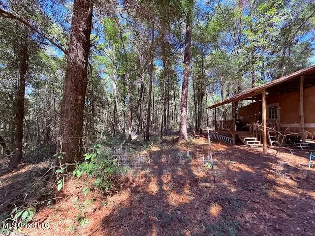 427 Ginntown Road, Tylertown, MS 39667 - Image #2