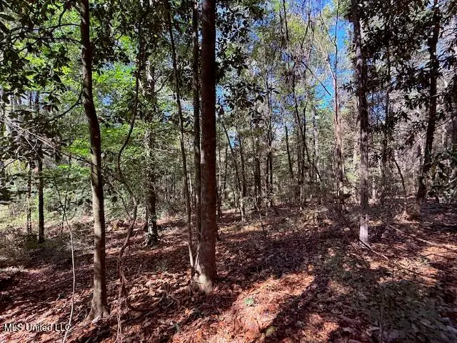 427 Ginntown Road, Tylertown, MS 39667 - Image #3