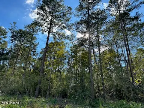 32 Acres Mol Garner Road, Mount Olive, MS 39119 - Image #3
