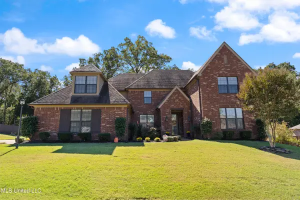 7455 Featherston Cove, Olive Branch, MS 38654