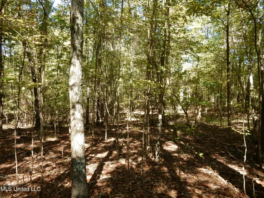 Lot 1 N Crockett Road, Senatobia, MS 38668 - Image #3