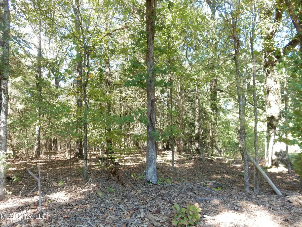 Lot 3 N Crockett Road, Senatobia, MS 38668 - Image #1