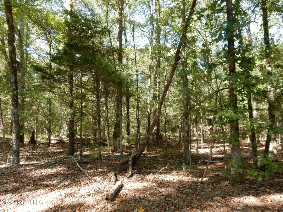 Lot 3 N Crockett Road, Senatobia, MS 38668 - Image #2