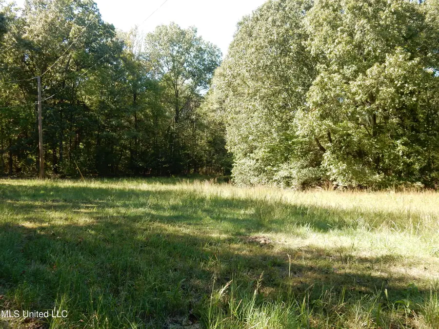 Lot 4 N Crockett Road, Senatobia, MS 38668 - Image #3