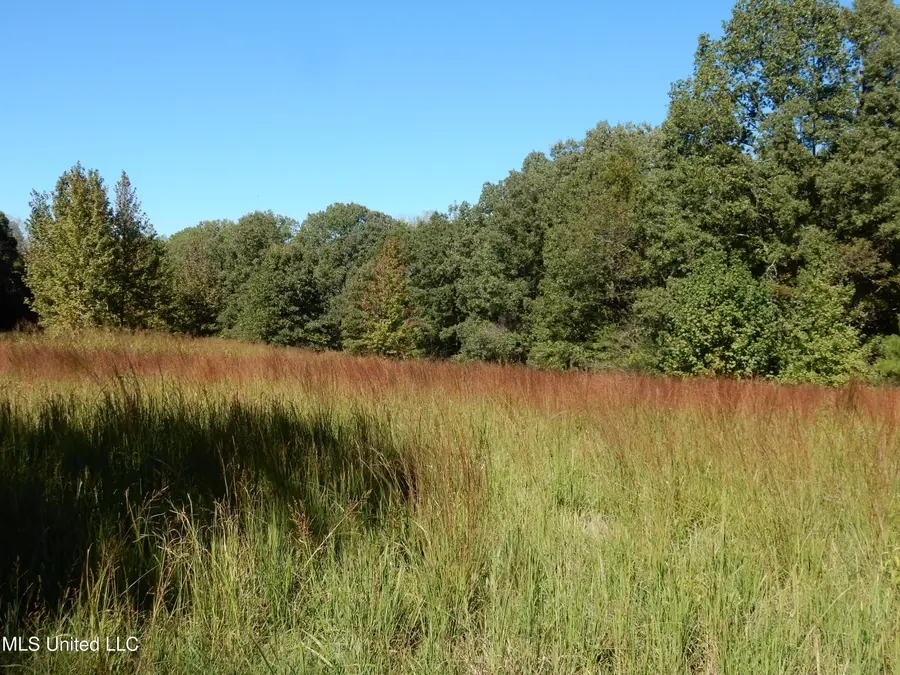 Lot 5 N Crockett Road, Senatobia, MS 38668 - Image #2