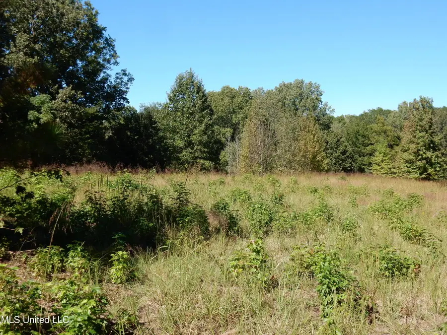 Lot 7 N Crockett Road, Senatobia, MS 38668 - Image #2