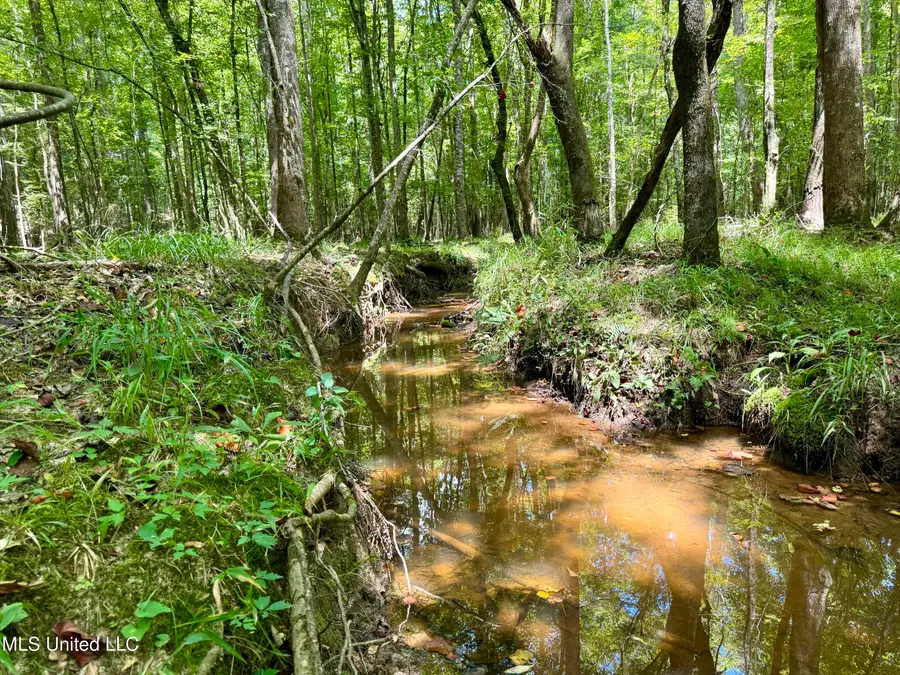 00006 Old Red Star Road, Wesson, MS 39191 - Image #2