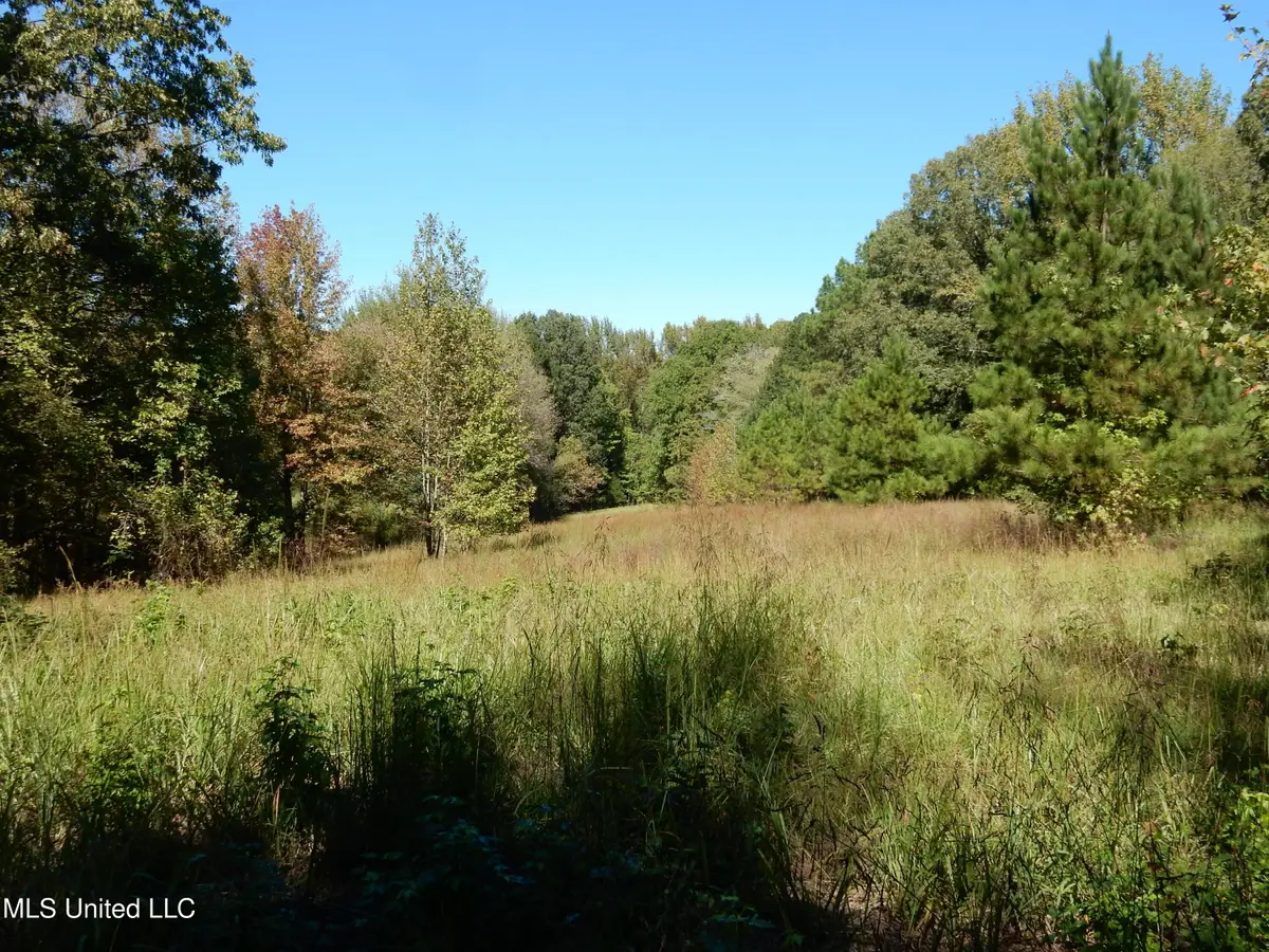 Lot 8 N Crockett Road, Senatobia, MS 38668 - Image #1