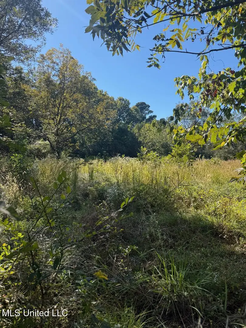 457 E Northside Drive, Clinton, MS 39056 - Image #2