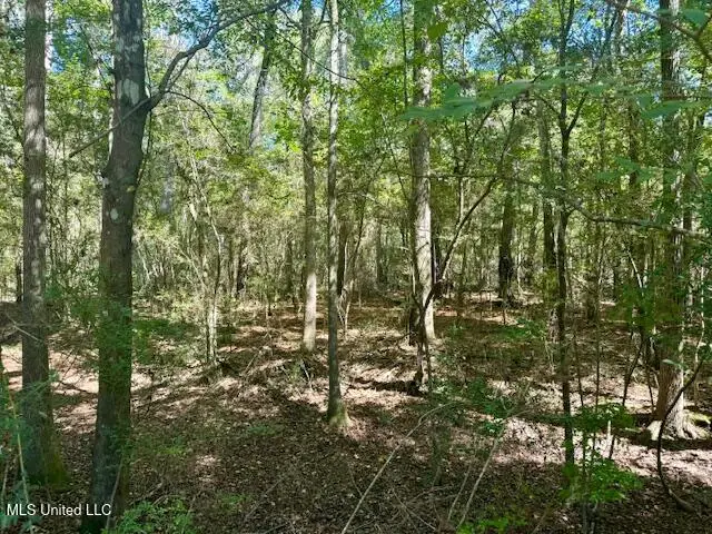 Sanford Road, Franklinton, LA 70438 - Image #2