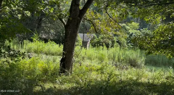 30 Hibiscus Lane, Natchez, MS 39120