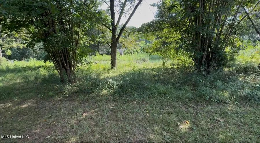 30 Hibiscus Lane, Natchez, MS 39120 - Image #2