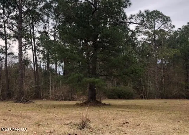 15654 Walter Smith Road, Gulfport, MS 39503 - Image #2