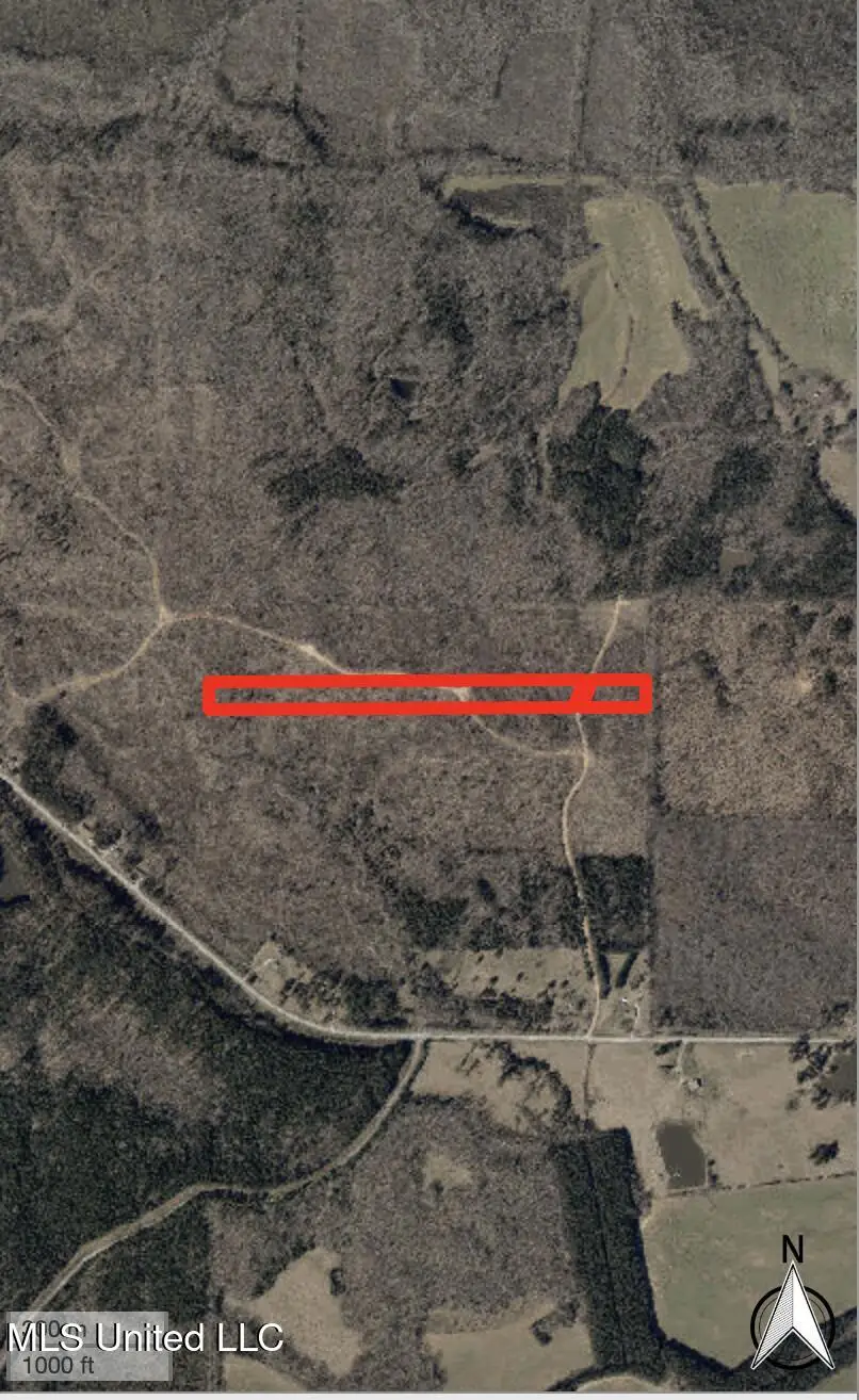 County Road 267, Abbeville, MS 38601 - Image #2