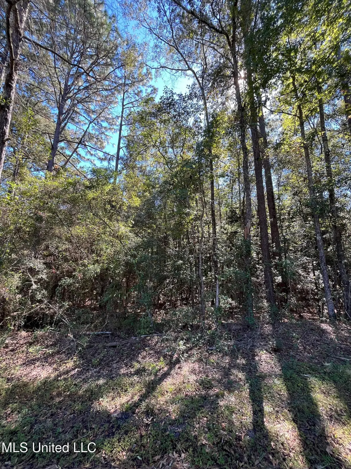 Hickory Drive, Richton, MS 39476 - Image #1