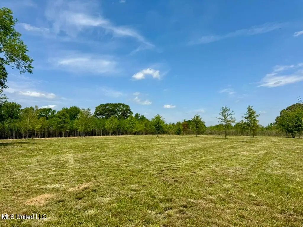 000004 Windermere Boulevard, Canton, MS 39046 - Image #1