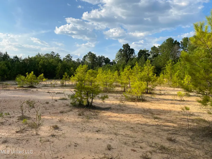 926 Virgin Mary Road, Camden, MS 39045 - Image #2