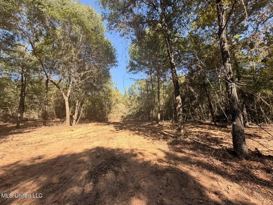 7.88 Acres Man Moulds Road, Lucedale, MS 39452 - Image #3