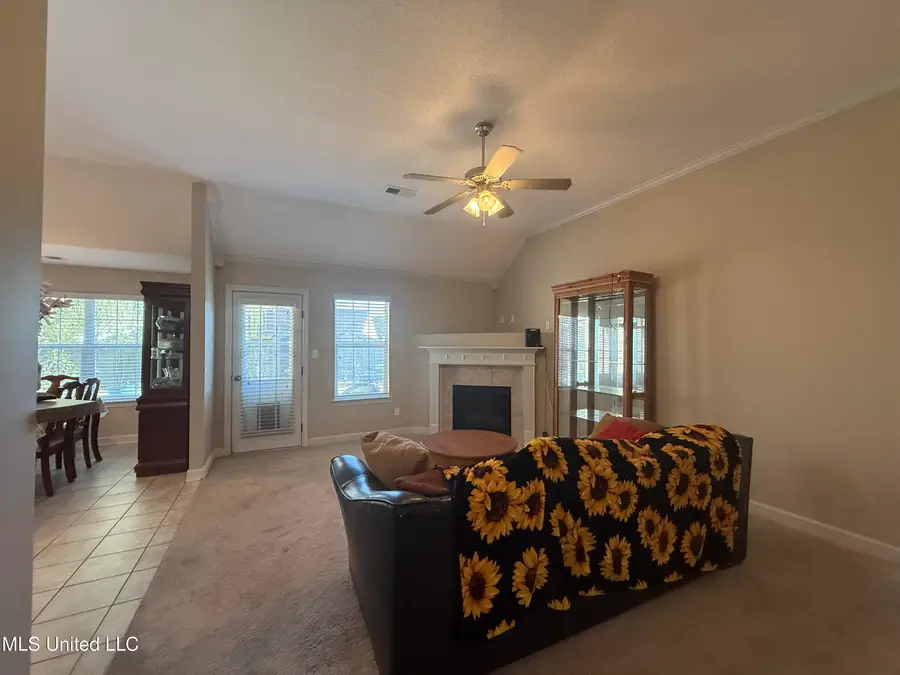 8245 Morning Sun Cove, Walls, MS 38680 - Image #3