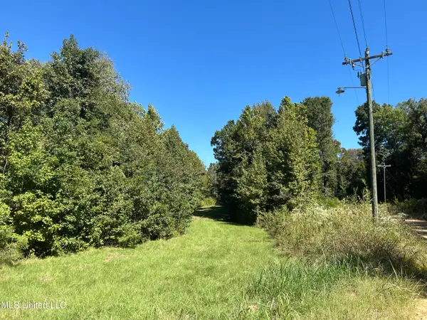 Henderson Road, Bentonia, MS 39040