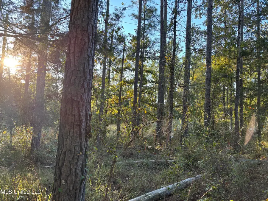 00 Simpson Road, Pickens, MS 39146 - Image #2