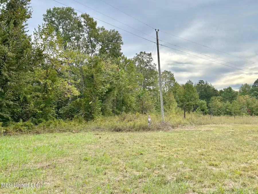 5317 Hwy 3, Sarah, MS 38665 - Image #2