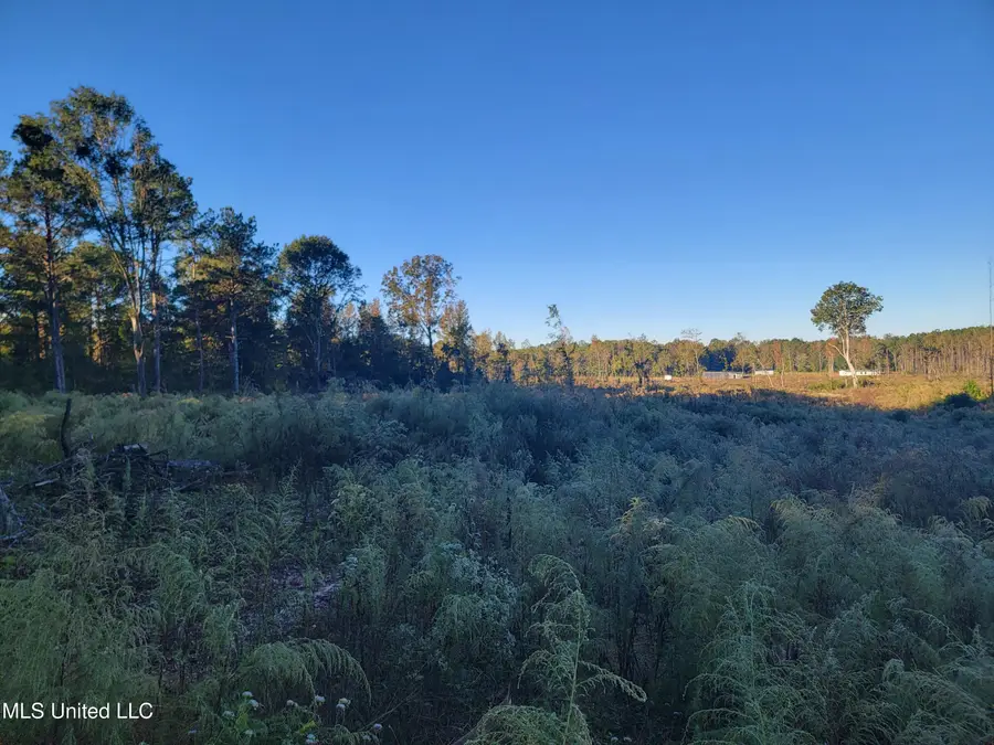 Haralson Lane, Forest, MS 39074 - Image #2