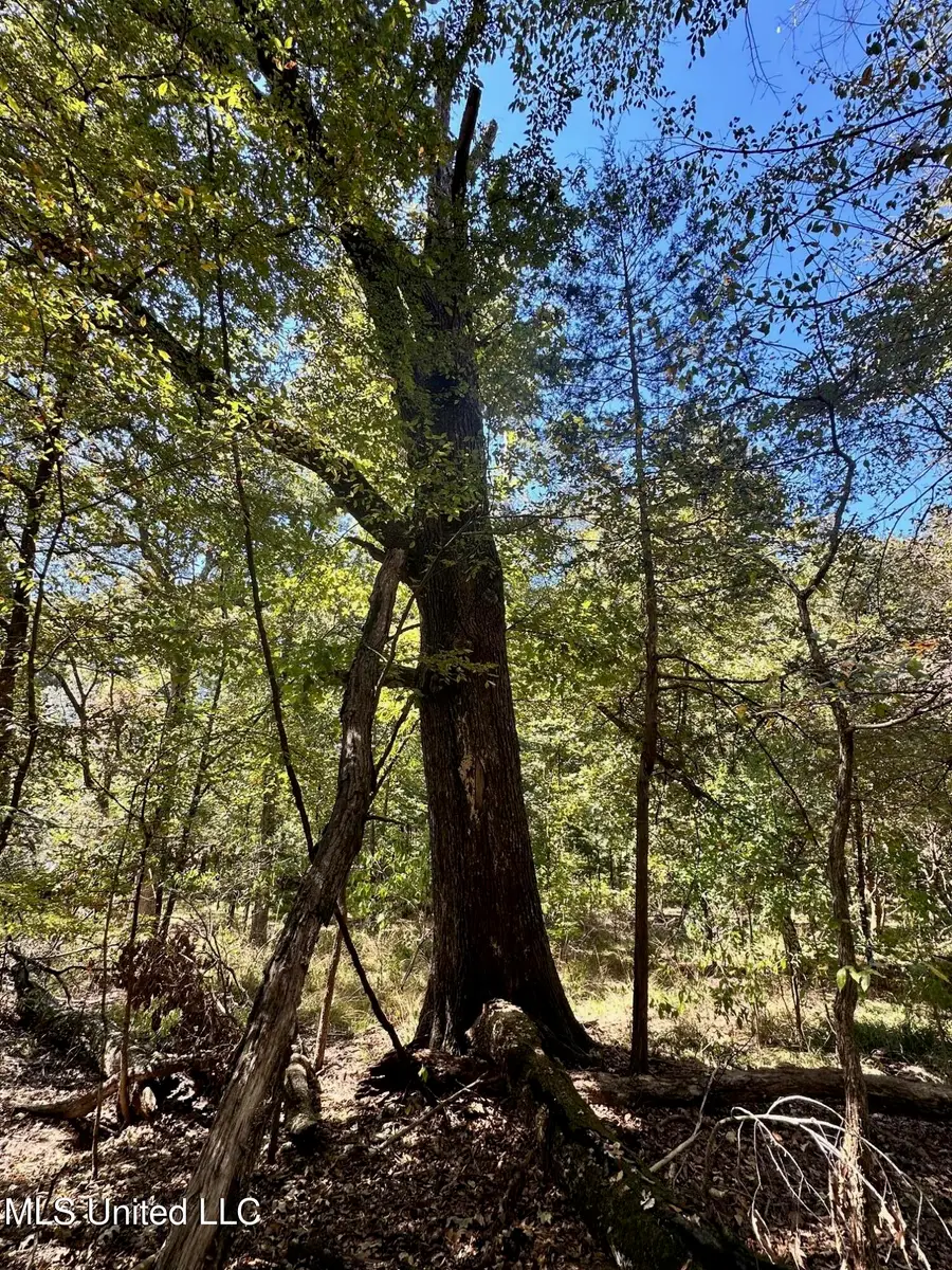 St Augustine Drive, Madison, MS 39110 - Image #2