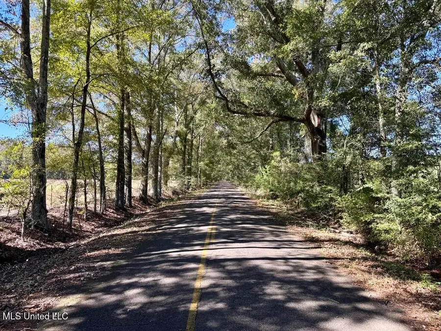 00001 Frank Hall Road, Bolton, MS 39041 - Image #3