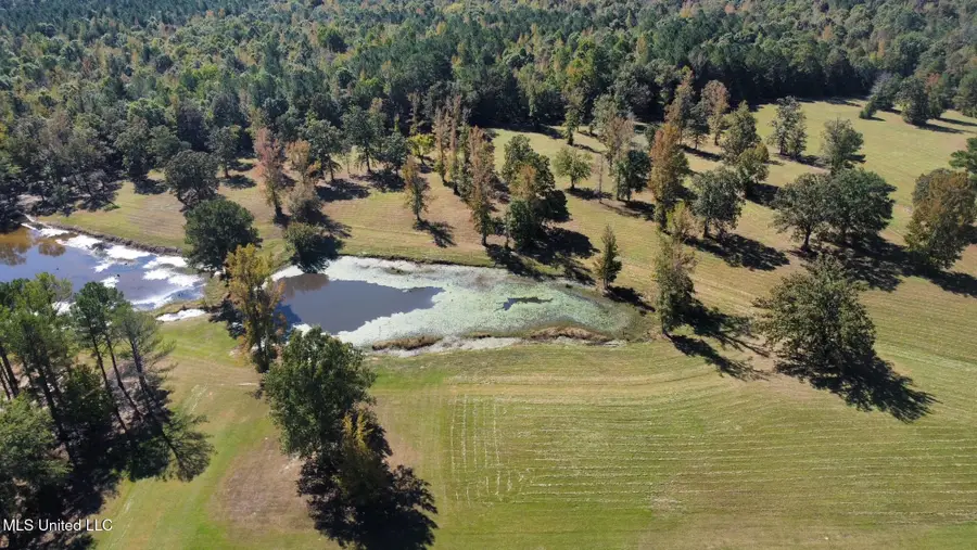 00 Highway 82, Maben, MS 39750 - Image #3