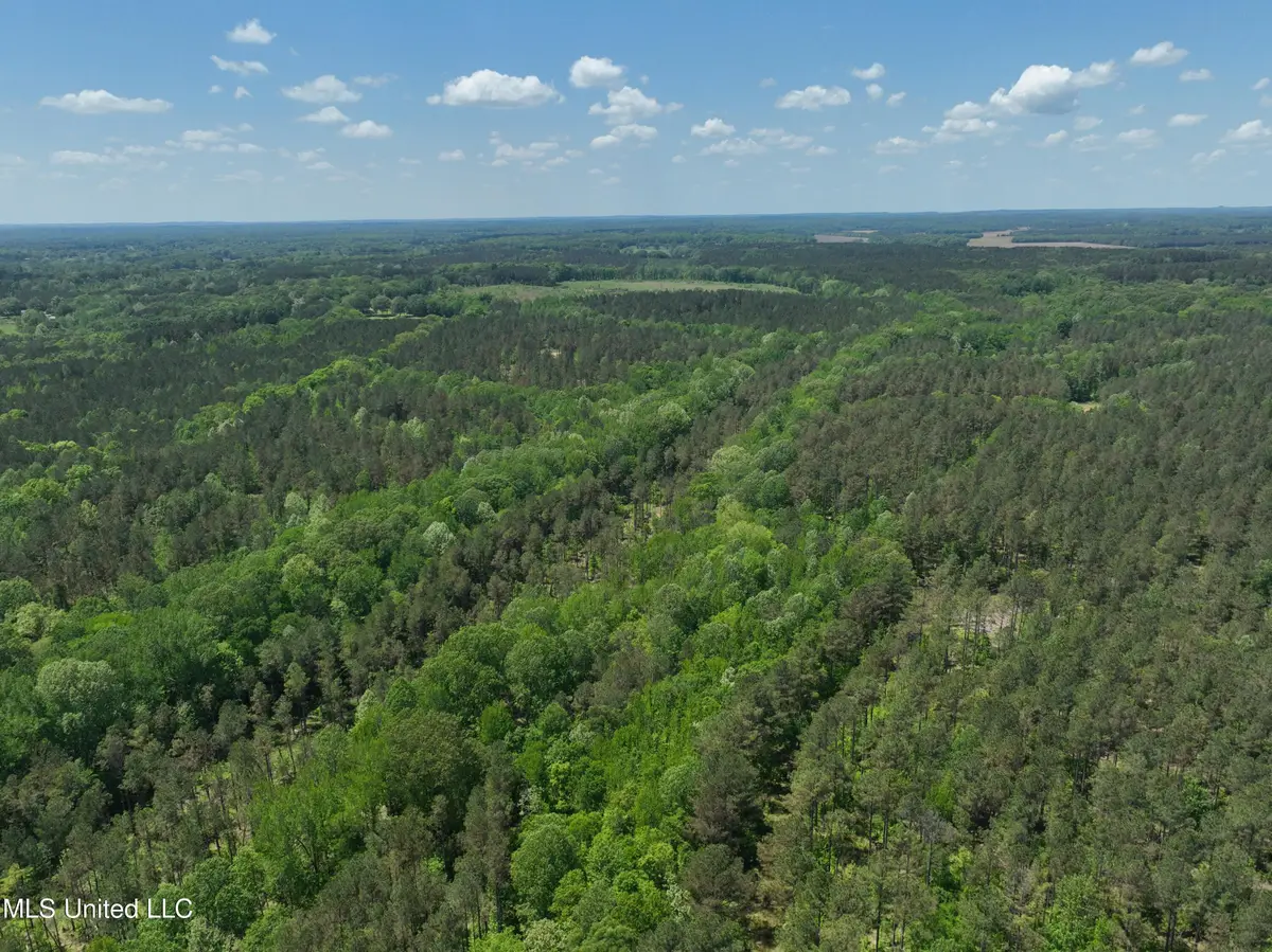 Cr 409, Rienzi, MS 38865 - Image #1