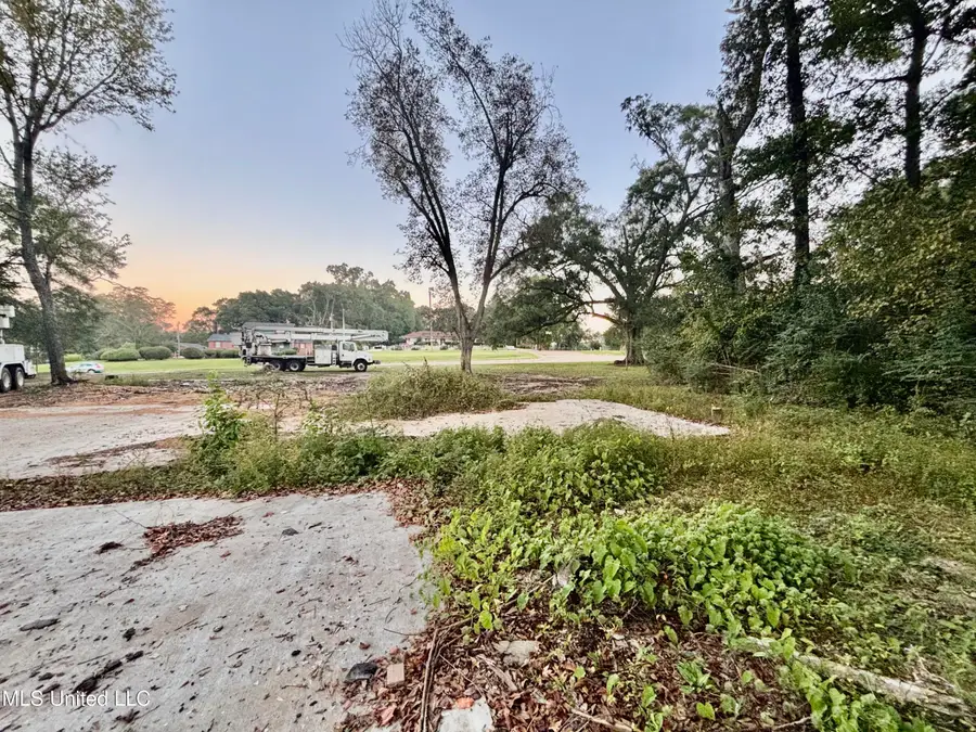 Xxx Hwy 98, McComb, MS 39648 - Image #3