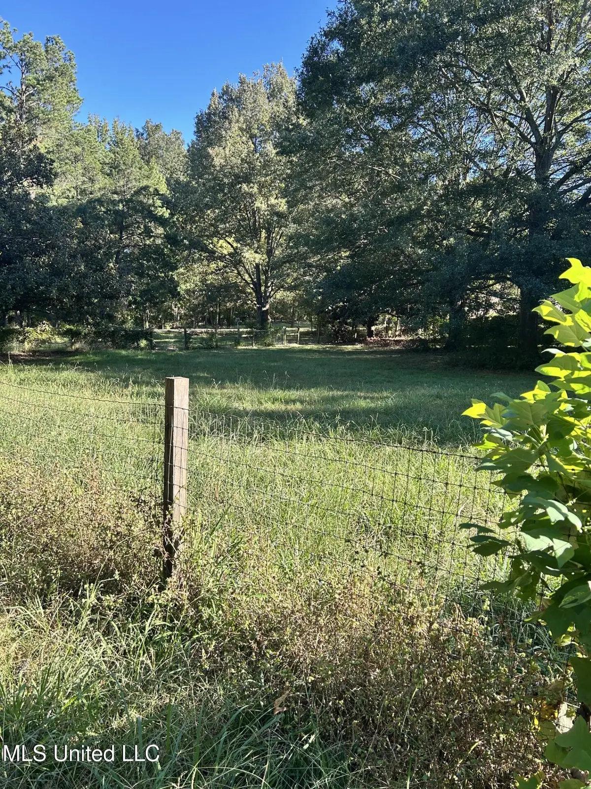 3399 Swinnea Road, Southaven, MS 38672 - #1