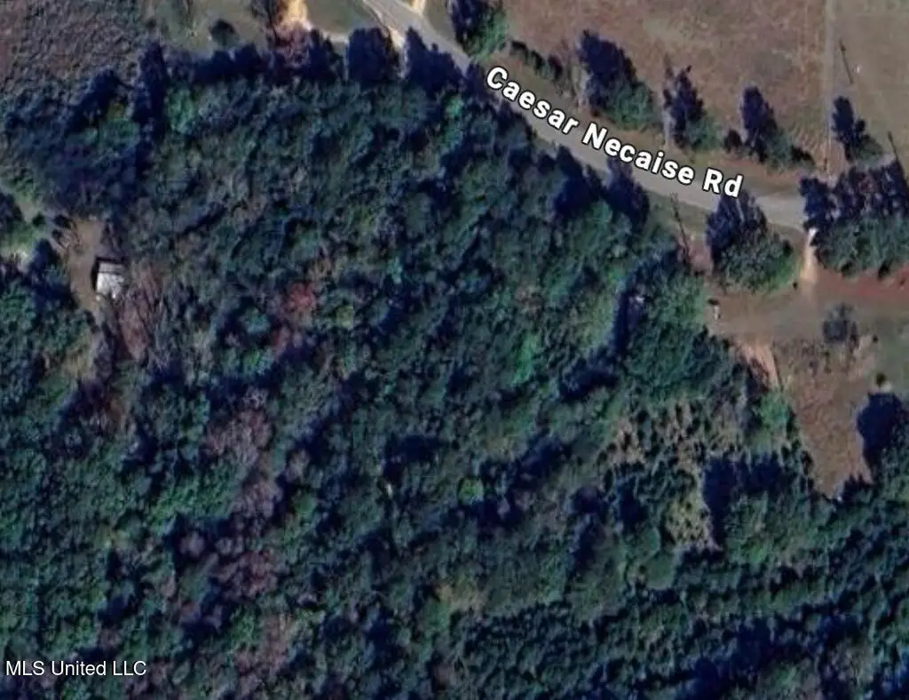 0 Caesar Necaise Road, Perkinston, MS 39573 - Image #1