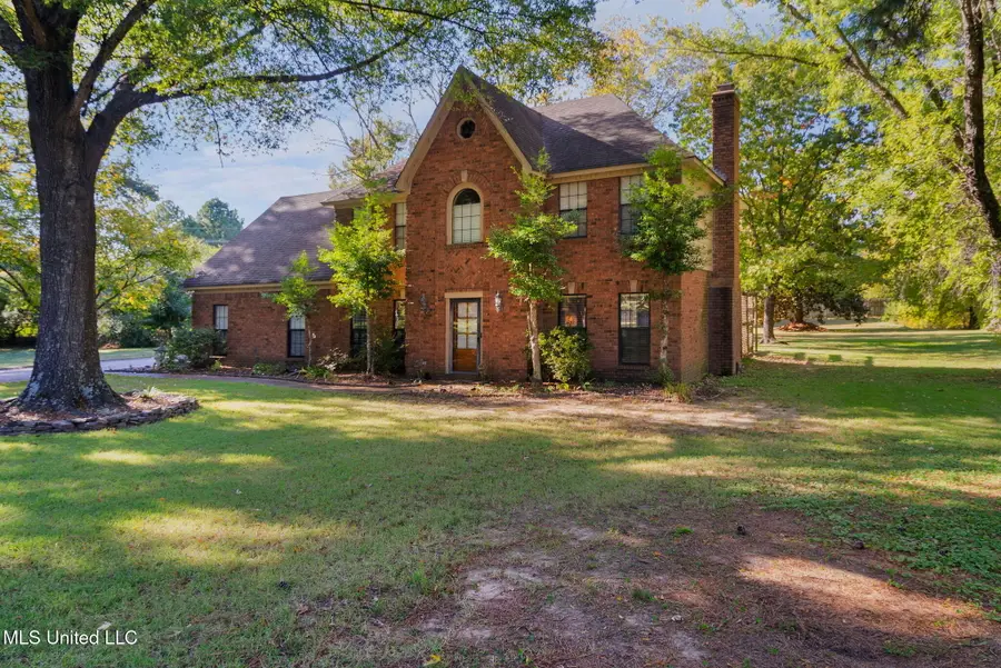 3030 Dove Hill Cove, Olive Branch, MS 38654 - Image #3